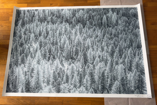 Stampa Fotografica Fine Art - THE WHITE SILENCE XXL - Edizione Limitata