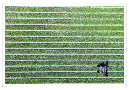 WORKING IN THE FIELDS XXL