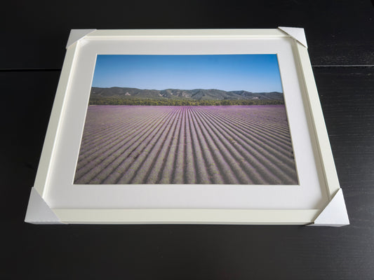 Kunstdruck – LANDSCHAFT DER PROVENCE – Limitierte Auflage