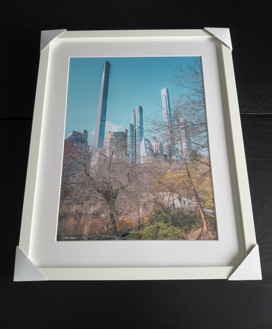 THE JUNGLE IN MANHATTAN