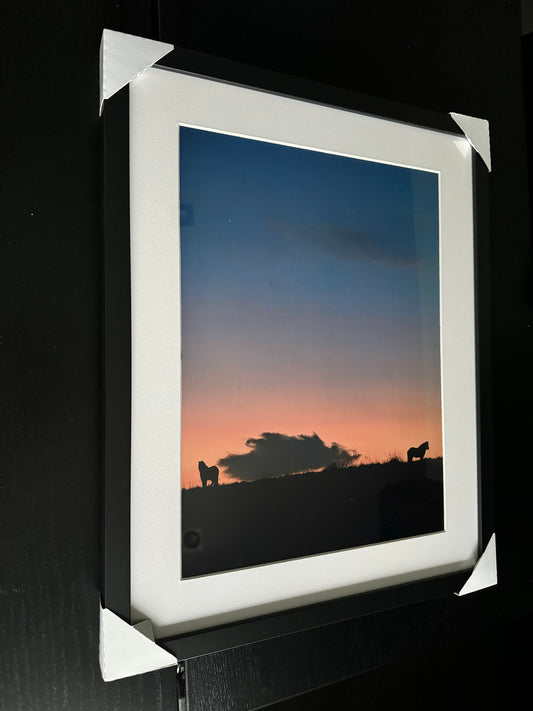Fotodruck in Fine Art – DIE ISLANDISCHEN PFERDE – Limitierte Auflage