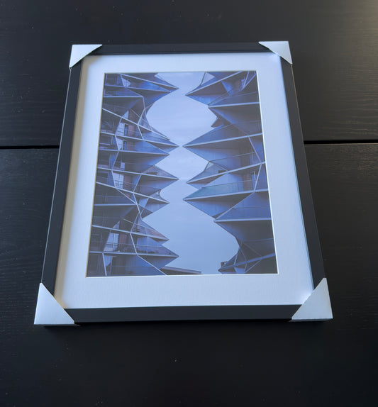 Kunstdruck – DER KAKTUS – Limitierte Auflage
