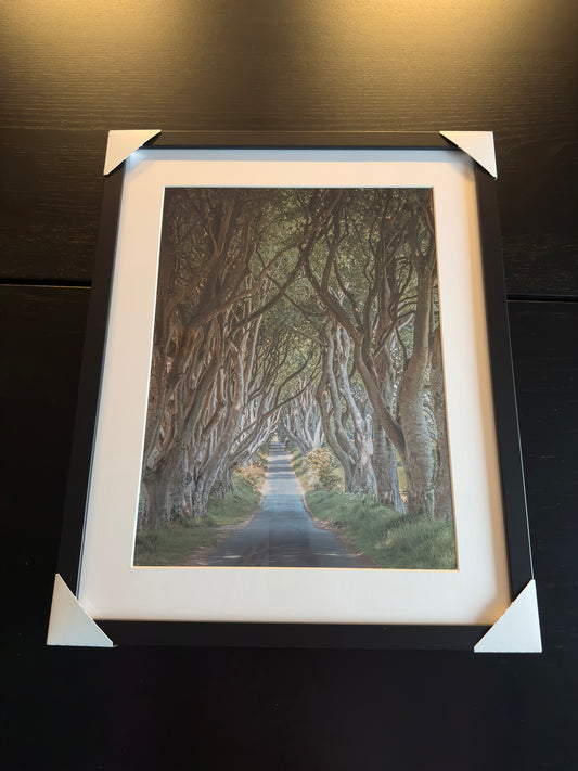 Fine Art Fotodruck – DIE FANTASTISCHEN DARK HEDGES #3 – Limitierte Auflage