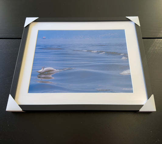 Kunstdruck – Delfinleben – Limitierte Auflage