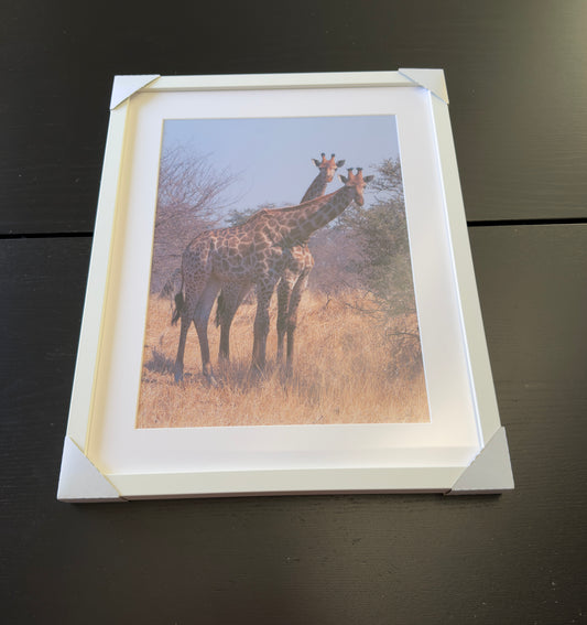 Kunstdruck – DIE GESPALTENE GIRAFFE – Limitierte Auflage