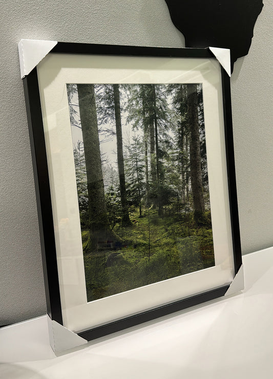 Kunstdruck – DER WALD – Limitierte Auflage