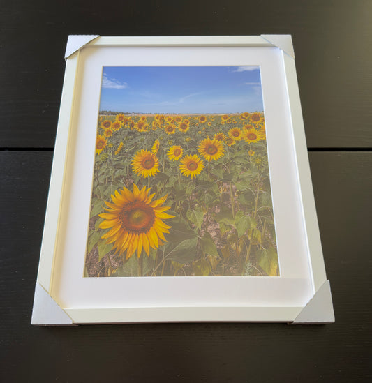 Kunstdruck – DIE SONNENBLUMEN – Limitierte Auflage