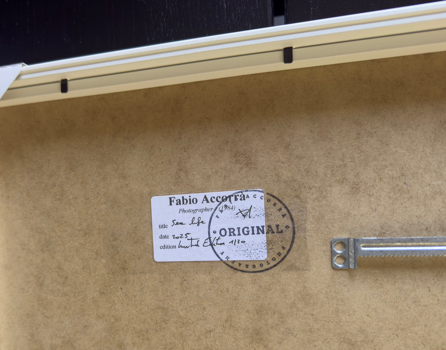 Stampa Fotografica Fine Art - POISED - Edizione Limitata