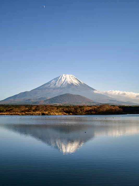 FUJI UNDER THE MOON