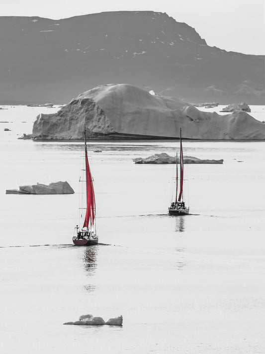 Fine Art Photographic Print - Sailing Between Icebergs - Limited Edition