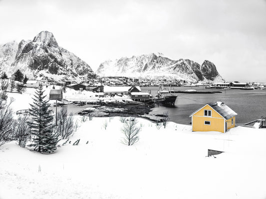 Fotodruck in Fine Art – Gelber Kontrast – Limitierte Auflage