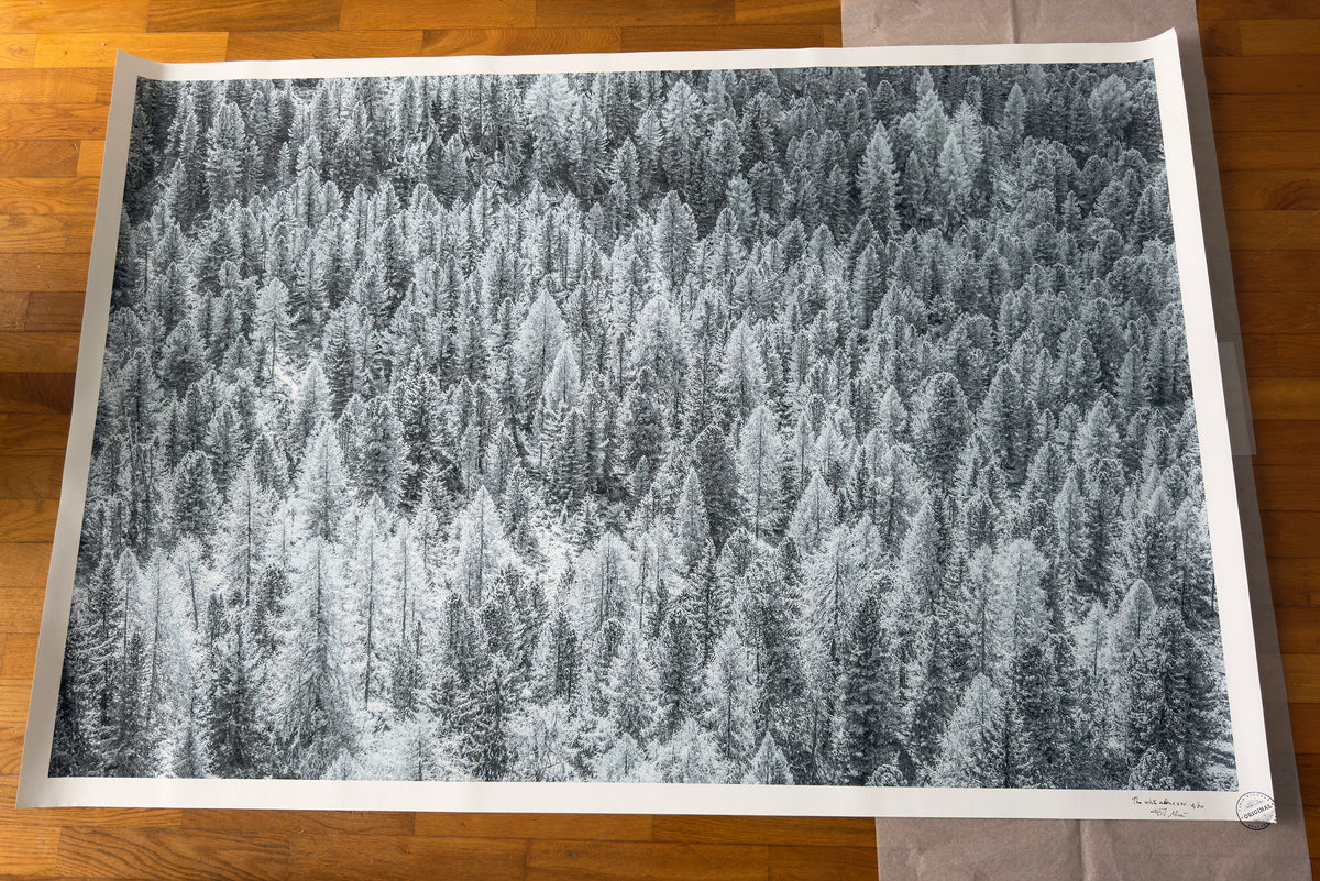 Stampa Fotografica Fine Art - THE WHITE SILENCE XXL - Edizione Limitata