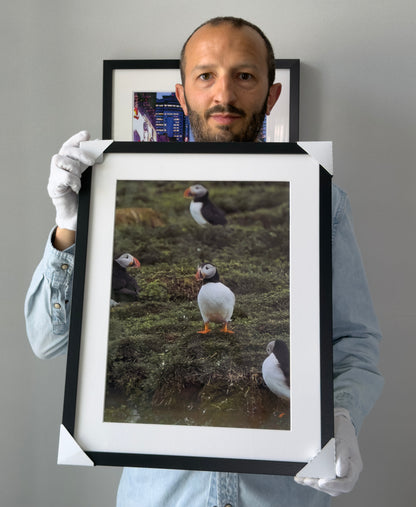 EIN BLICK AUF NATURSCHÖNHEIT