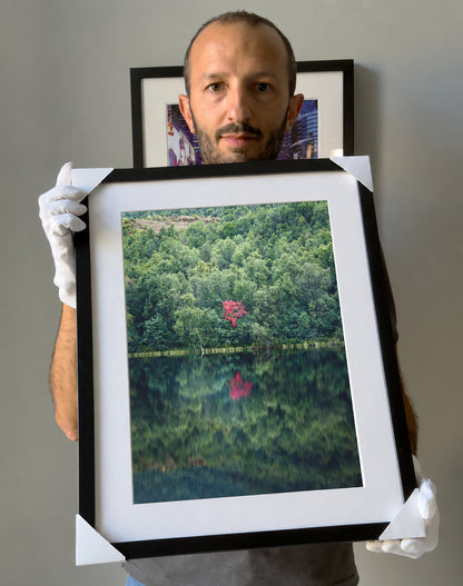 Fine Art Photographic Print - INSIDE THE TORII - Limited Edition
