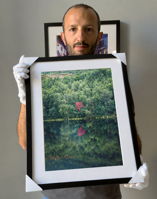 Fine Art Photographic Print - INSIDE THE TORII - Limited Edition