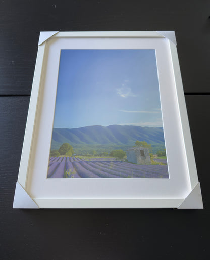 THE COLORS OF PROVENCE