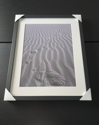 TRACKS ON THE SAHARA