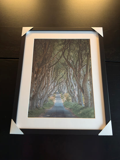 THE FANTASTIC DARK HEDGES #3