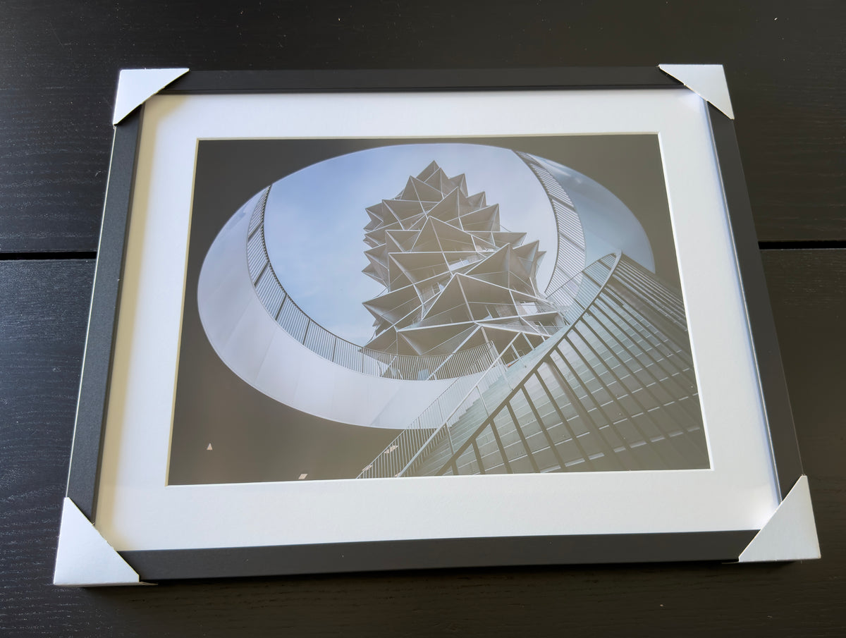 Kunstdruck – DER KAKTUS – Limitierte Auflage