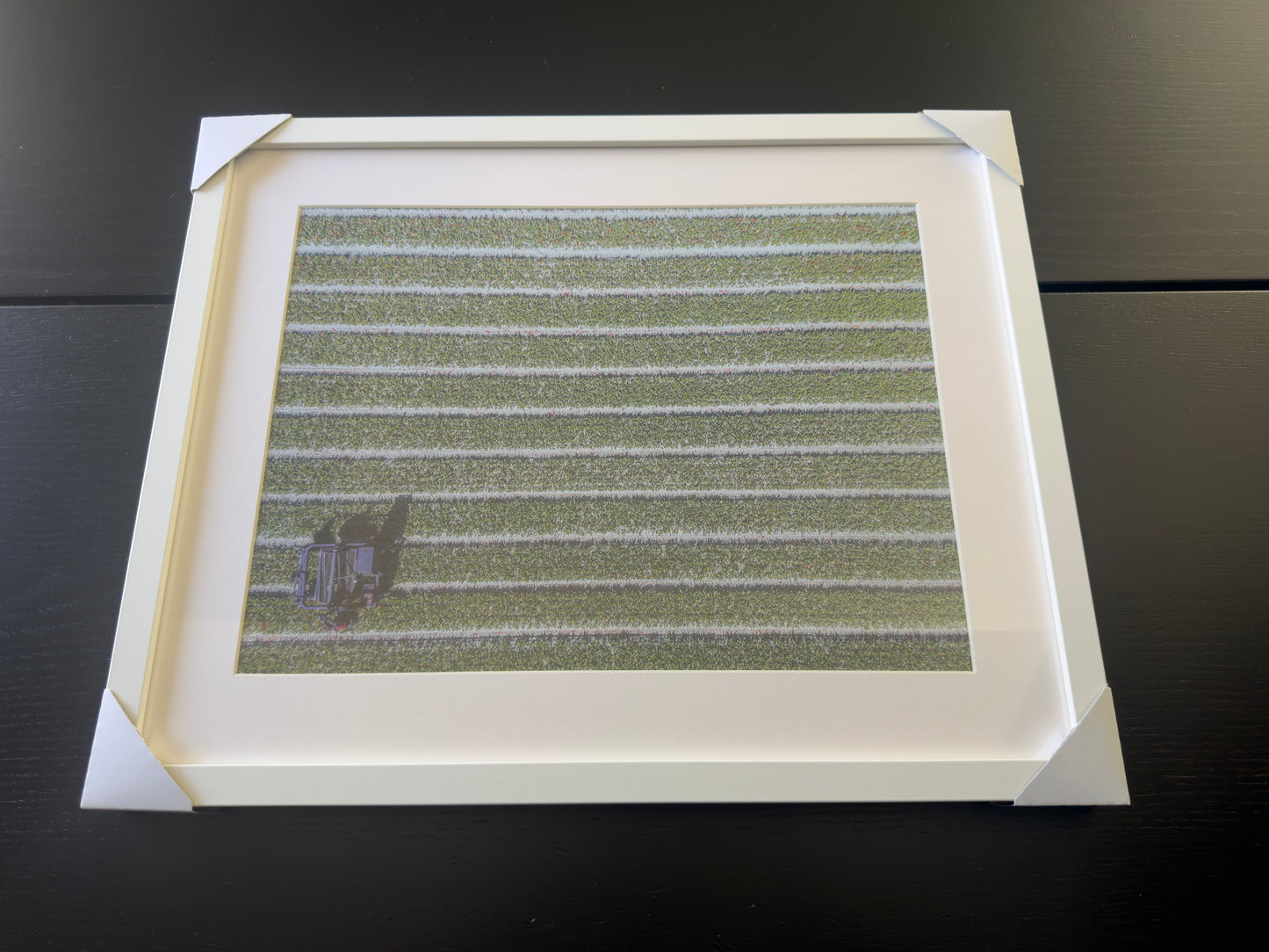 Fine Art Fotodrucke – Kultivierte Rhythmen – Limitierte Auflage
