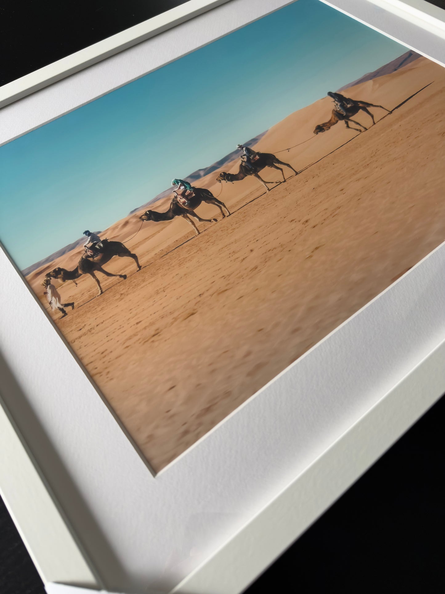 SAHARA CAMELS