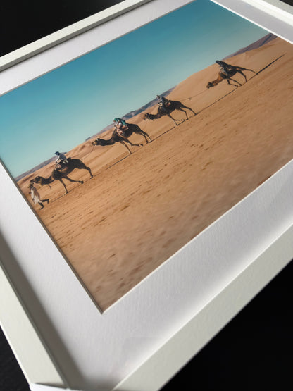 SAHARA CAMELS