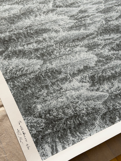 Stampa Fotografica Fine Art - THE WHITE SILENCE XXL - Edizione Limitata