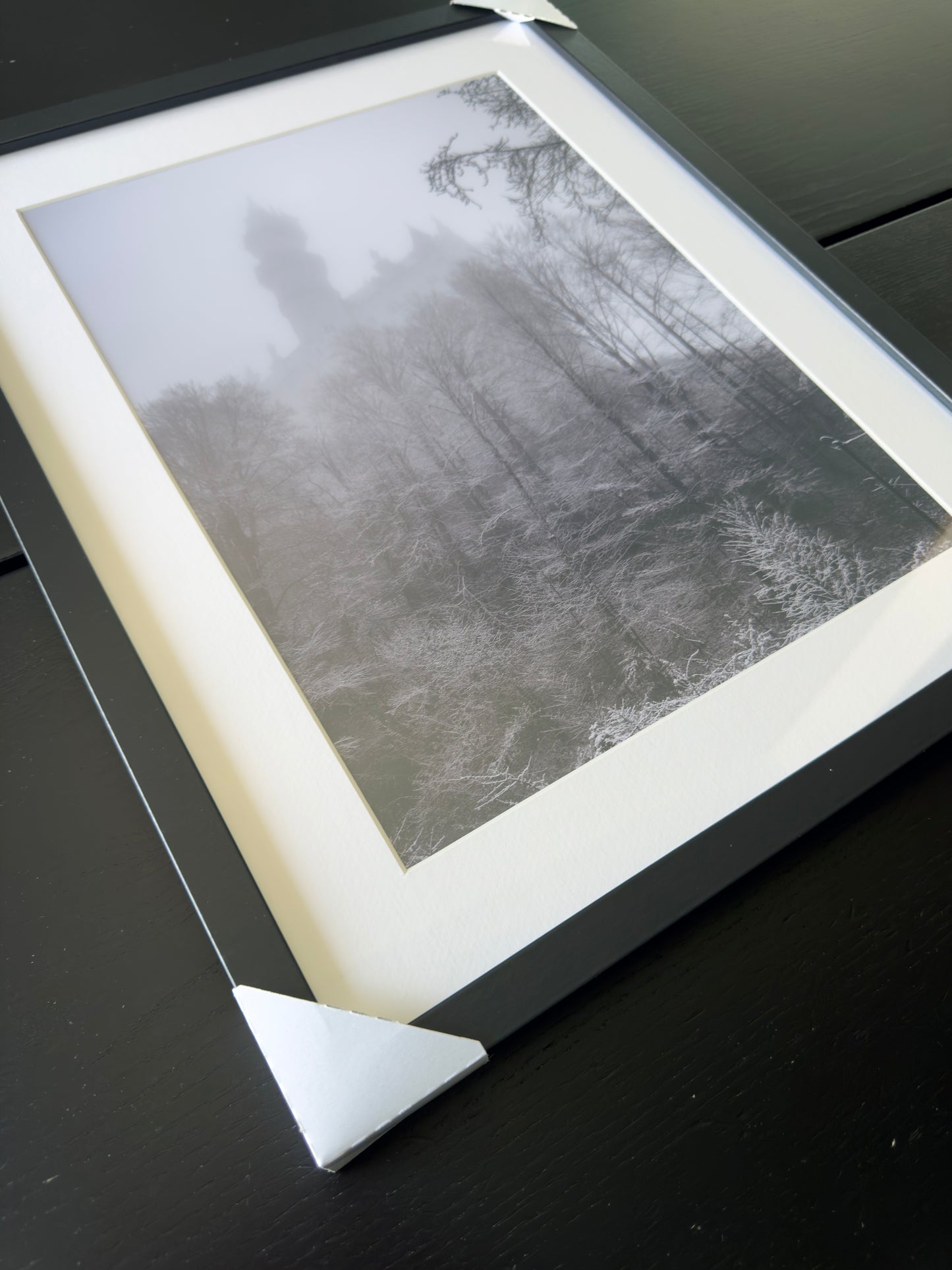 Stampa Fotografica Fine Art - THE Neuschwanstein CASTLE - Edizione Limitata