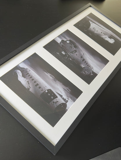 AMERICAN SURVIVOR Series Special Edition