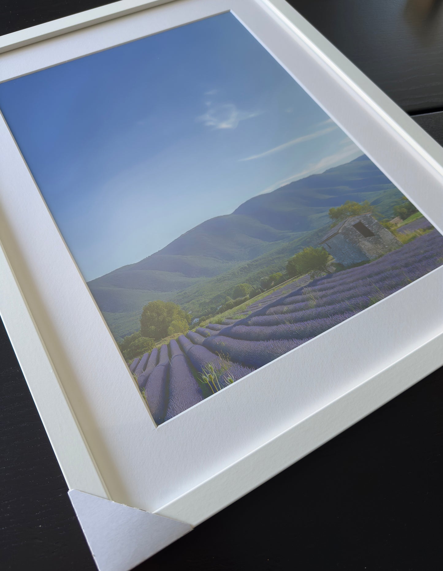 THE COLORS OF PROVENCE