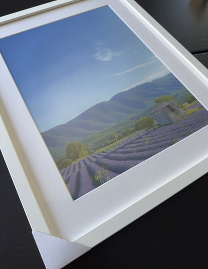 THE COLORS OF PROVENCE