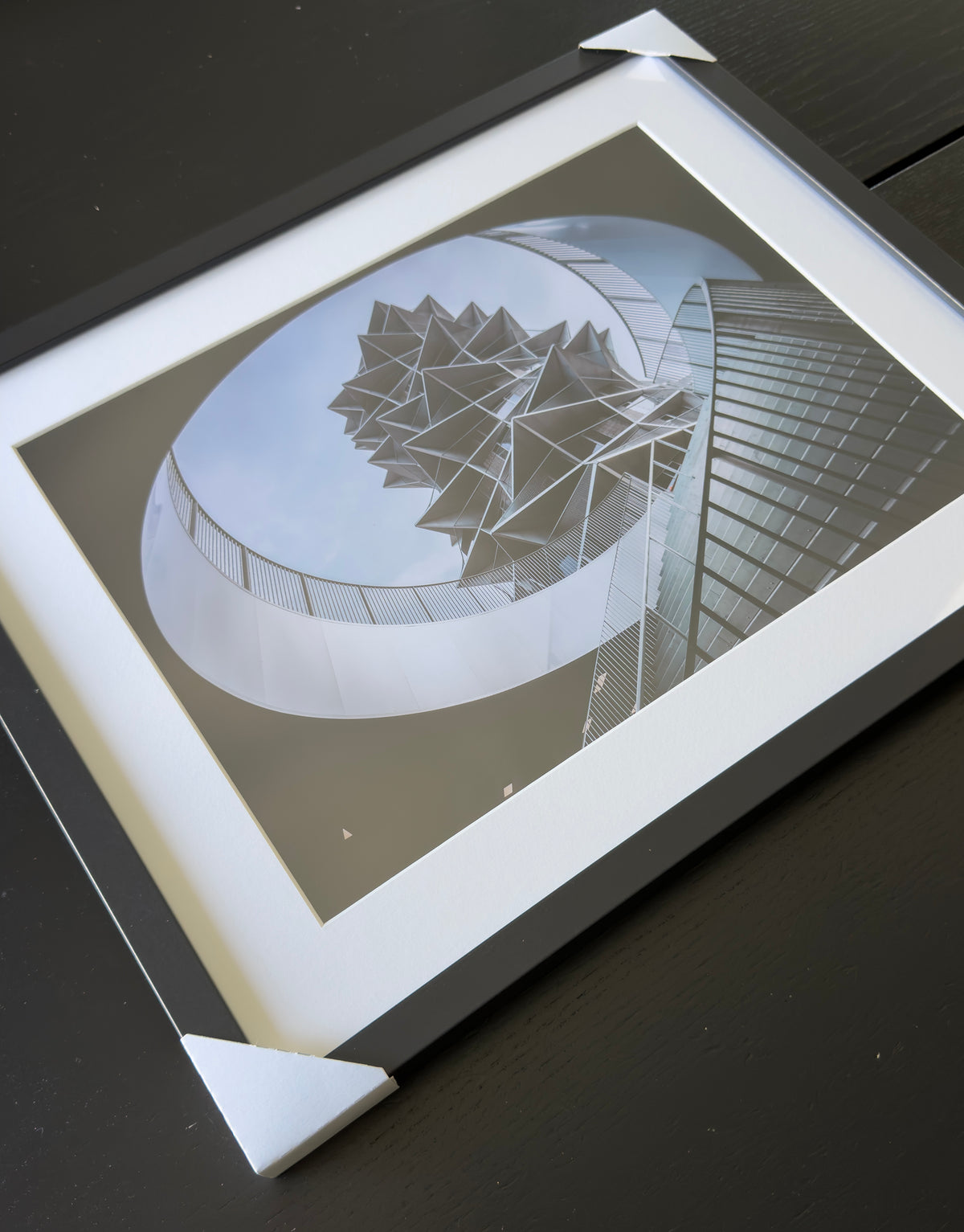 Kunstdruck – DER KAKTUS – Limitierte Auflage