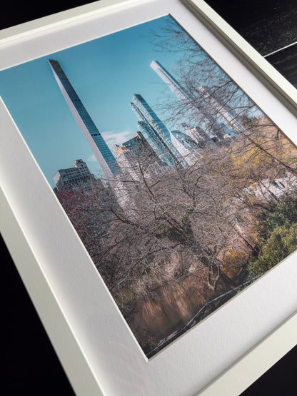 THE JUNGLE IN MANHATTAN