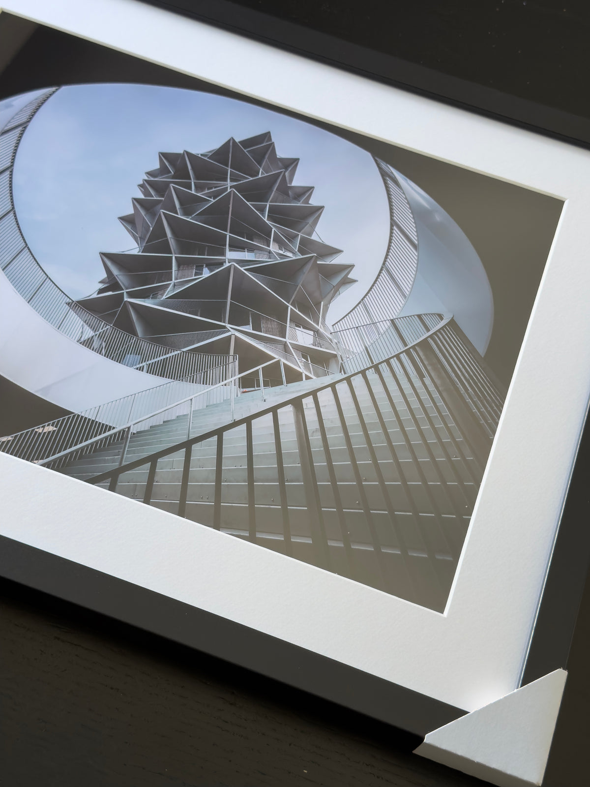 Kunstdruck – DER KAKTUS – Limitierte Auflage