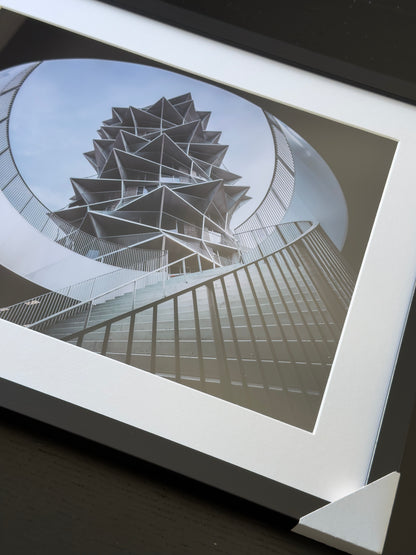 Kunstdruck – DER KAKTUS – Limitierte Auflage