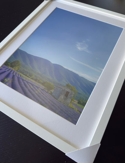 THE COLORS OF PROVENCE