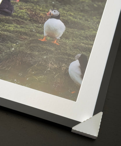 EIN BLICK AUF NATURSCHÖNHEIT