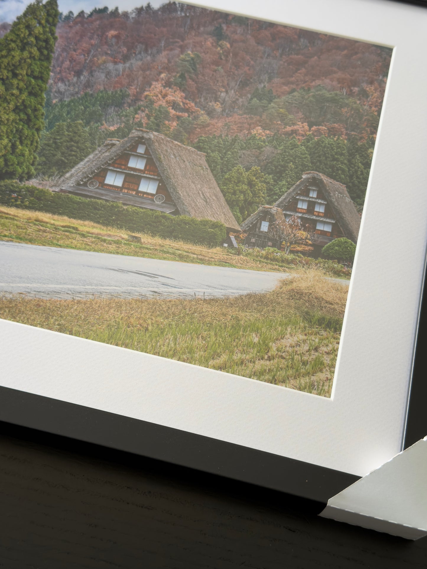 Stampa Fotografica Fine Art - JAPAN NATURE - Edizione Limitata
