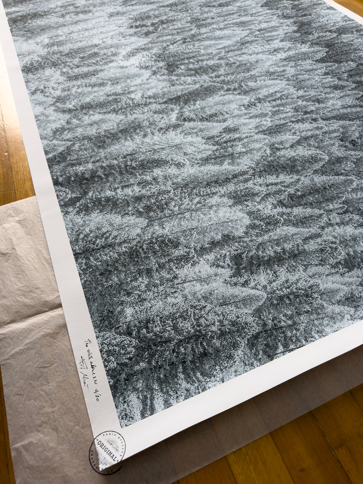 Stampa Fotografica Fine Art - THE WHITE SILENCE XXL - Edizione Limitata