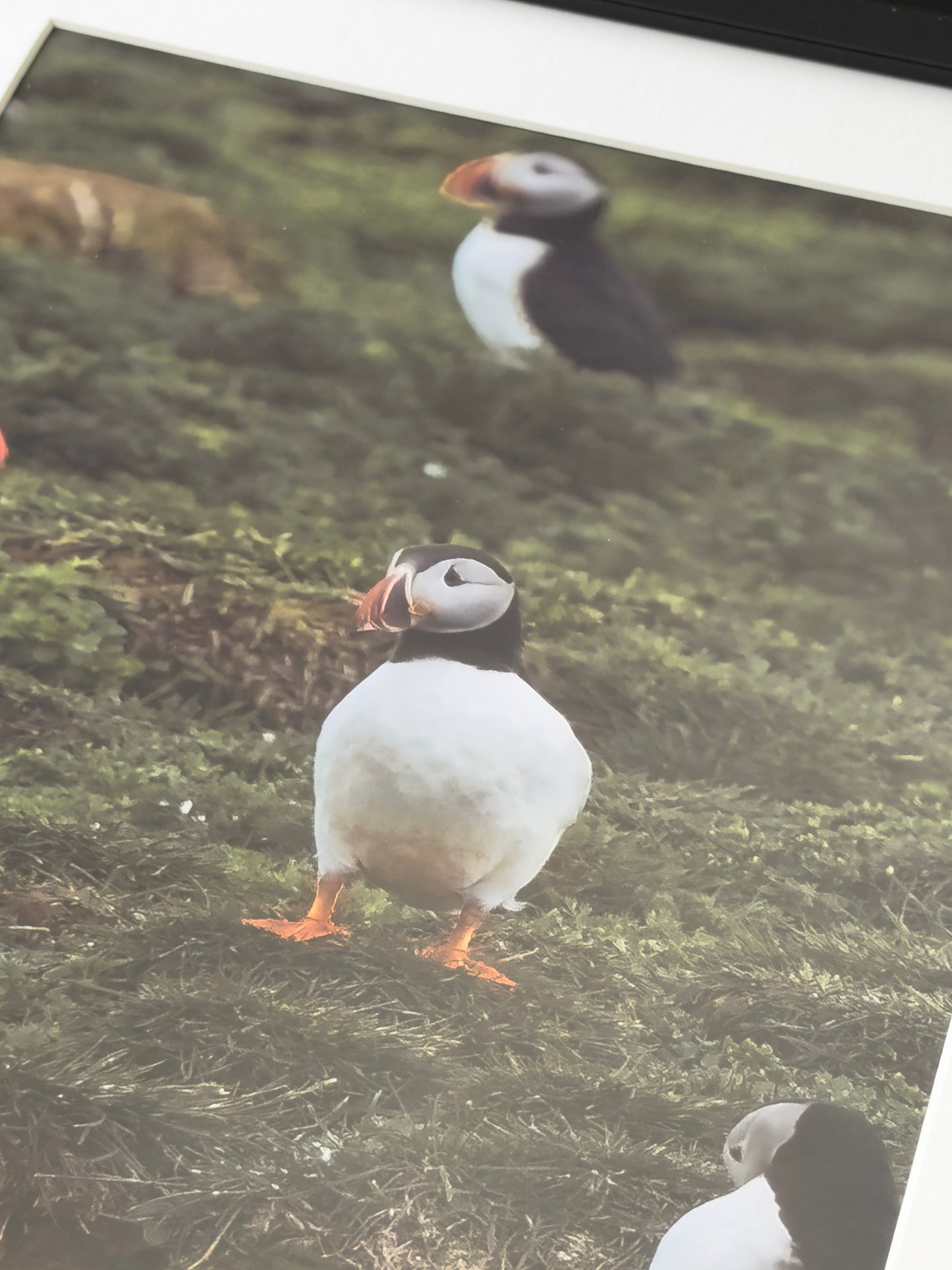 EIN BLICK AUF NATURSCHÖNHEIT