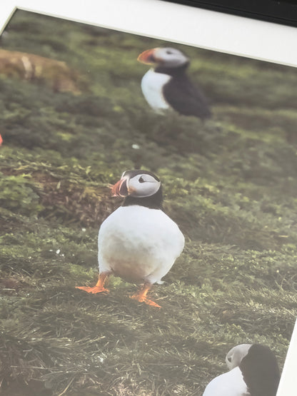 EIN BLICK AUF NATURSCHÖNHEIT