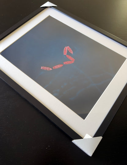 DIE VERLORENEN BOOTE