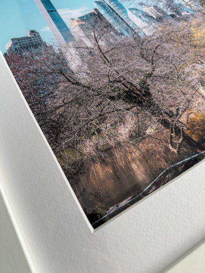 THE JUNGLE IN MANHATTAN