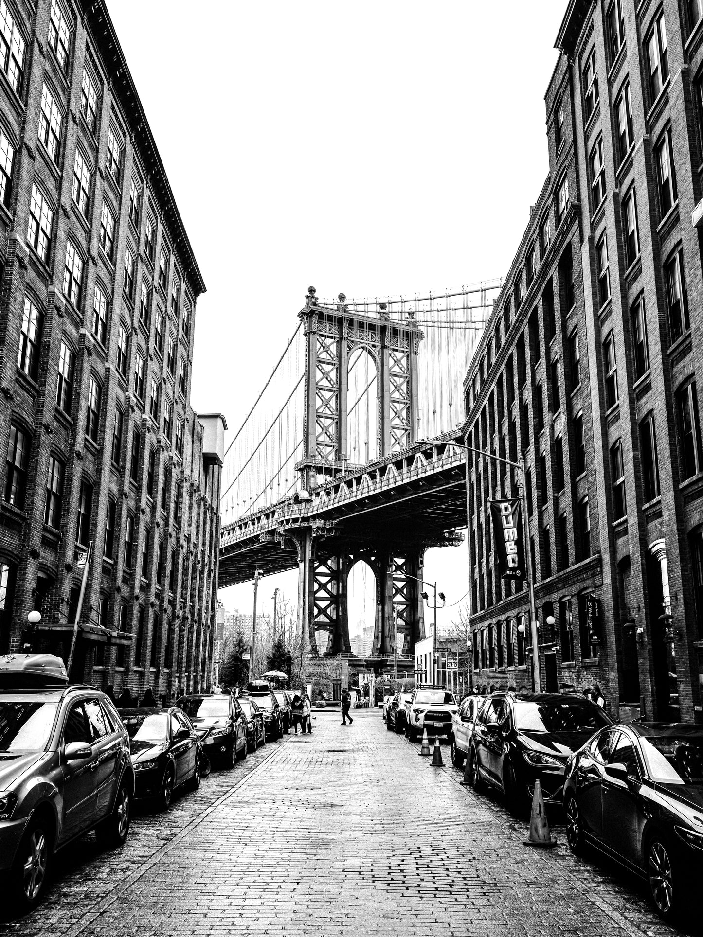 DUMBO VIEW