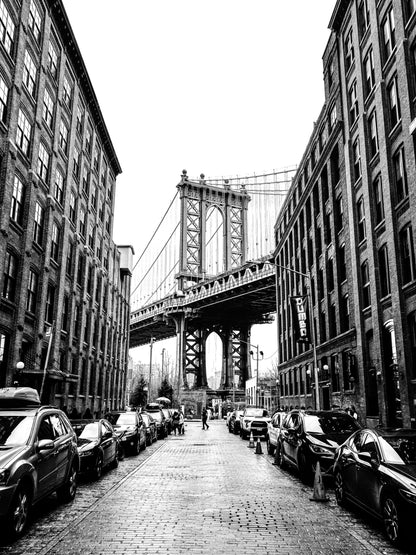 DUMBO VIEW