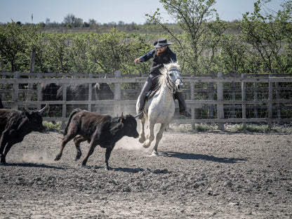 Stampa Fotografica Fine Art - FRENCH COWBOY - Edizione Limitata