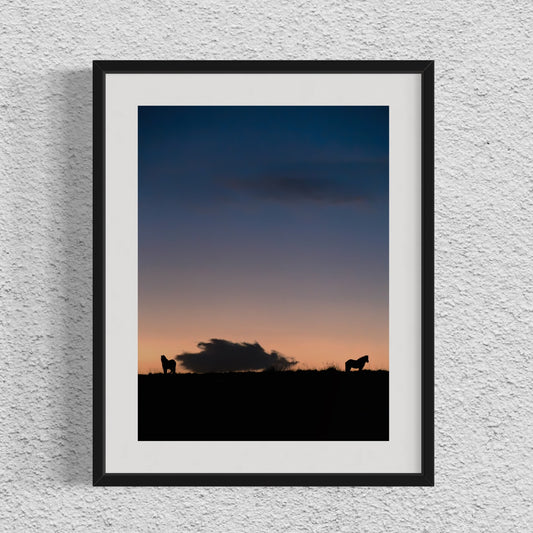 THE ICELANDIC HORSES