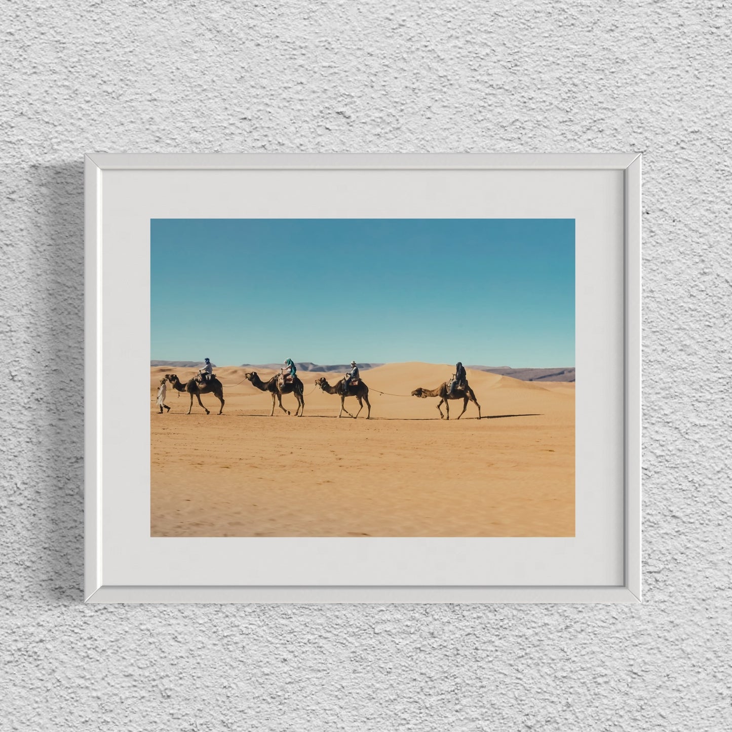 SAHARA CAMELS