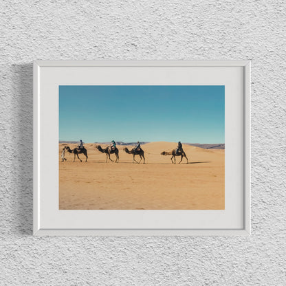 SAHARA CAMELS