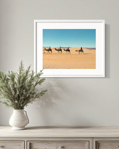 SAHARA CAMELS